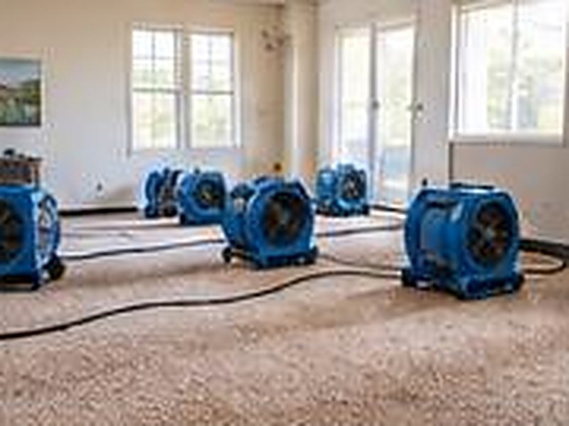 Row of air movers drying a carpeted room