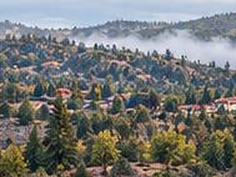 Forested hills with scattered homes and morning mist in the central highlands