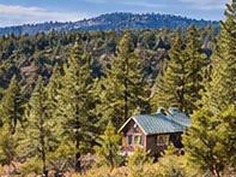 Pine forest and a home in the high country of eastern Arizona