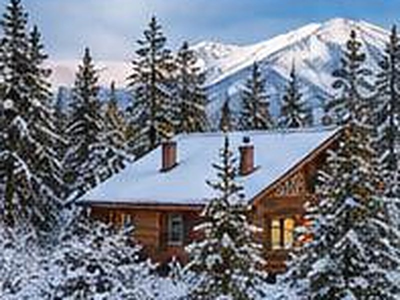 Snow covered pine trees and a cabin in northern Arizona
