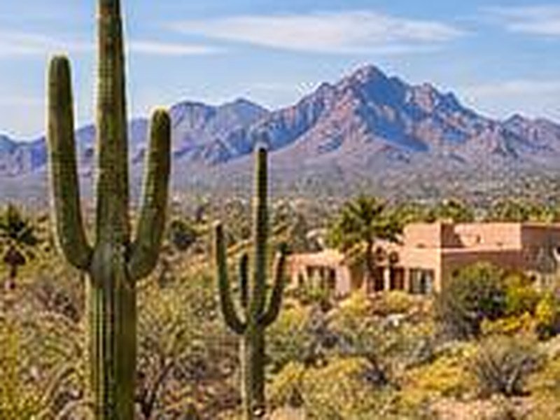 Saguaro cacti and mountains near Tucson with an adobe style home